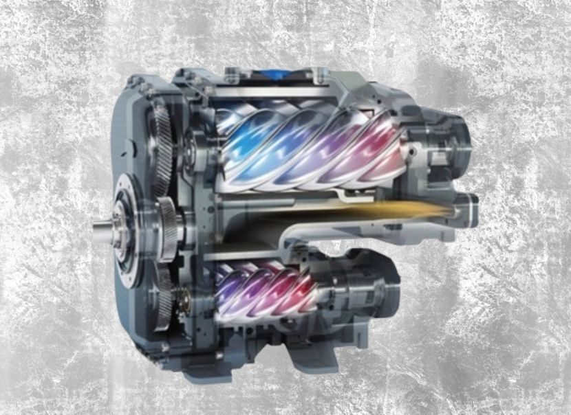 Untitled design (31)