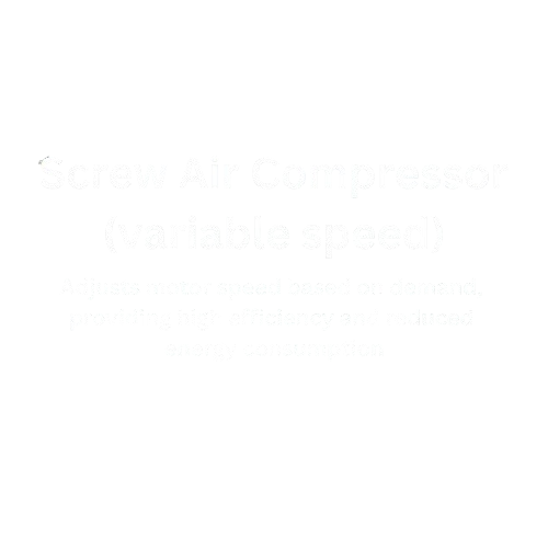 Hanvi__1_-removebg-preview